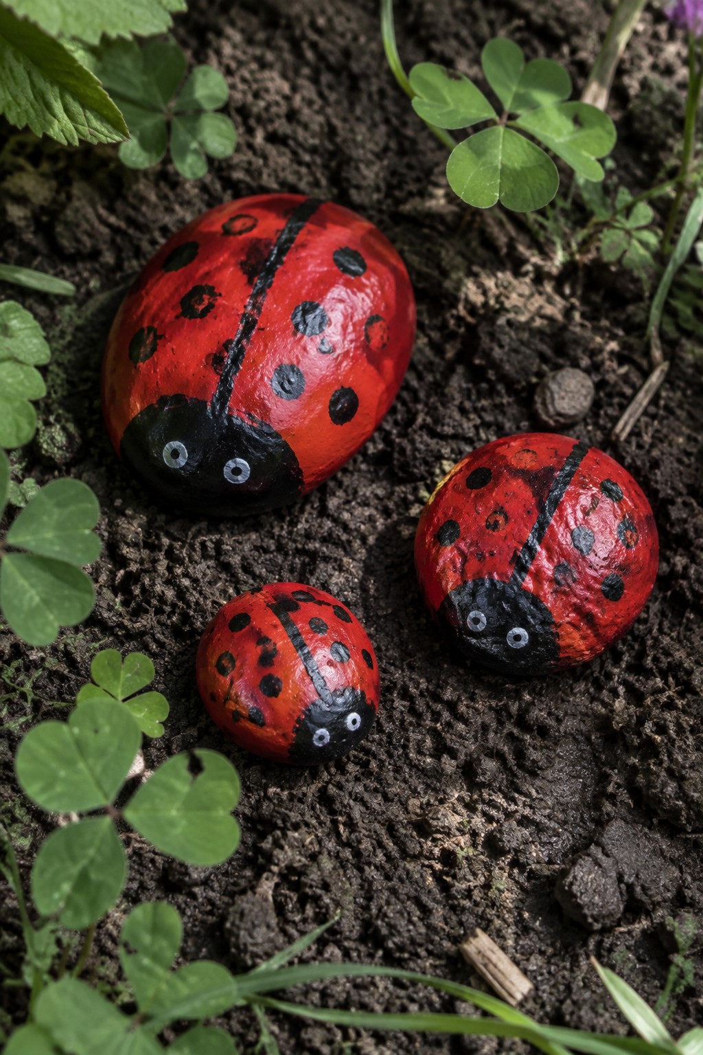 Three painted ladybug rocks in red and black on soil with green leaves.