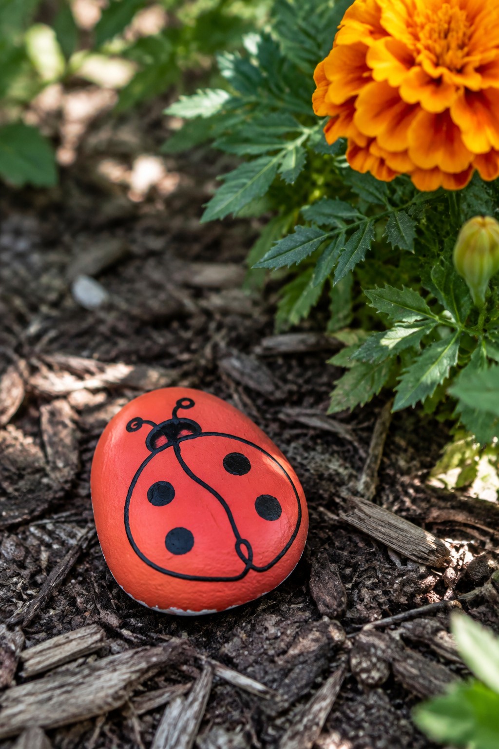 Red ladybug-painted rock on mulch beside orange marigold flower and green leaves.