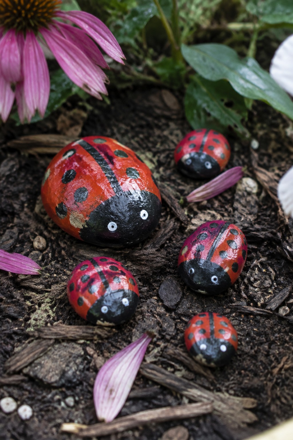 Painted red-and-black ladybug rocks rest on dark mulch near pink flower.