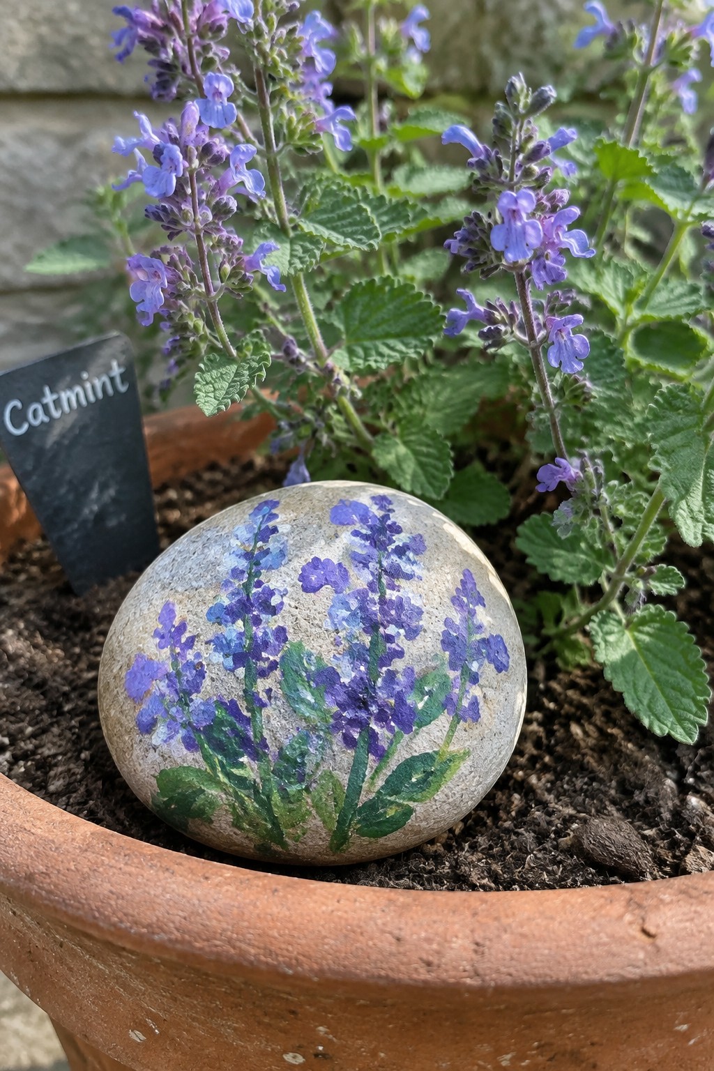 Painted rock with purple flowers in terracotta pot beside catmint and label