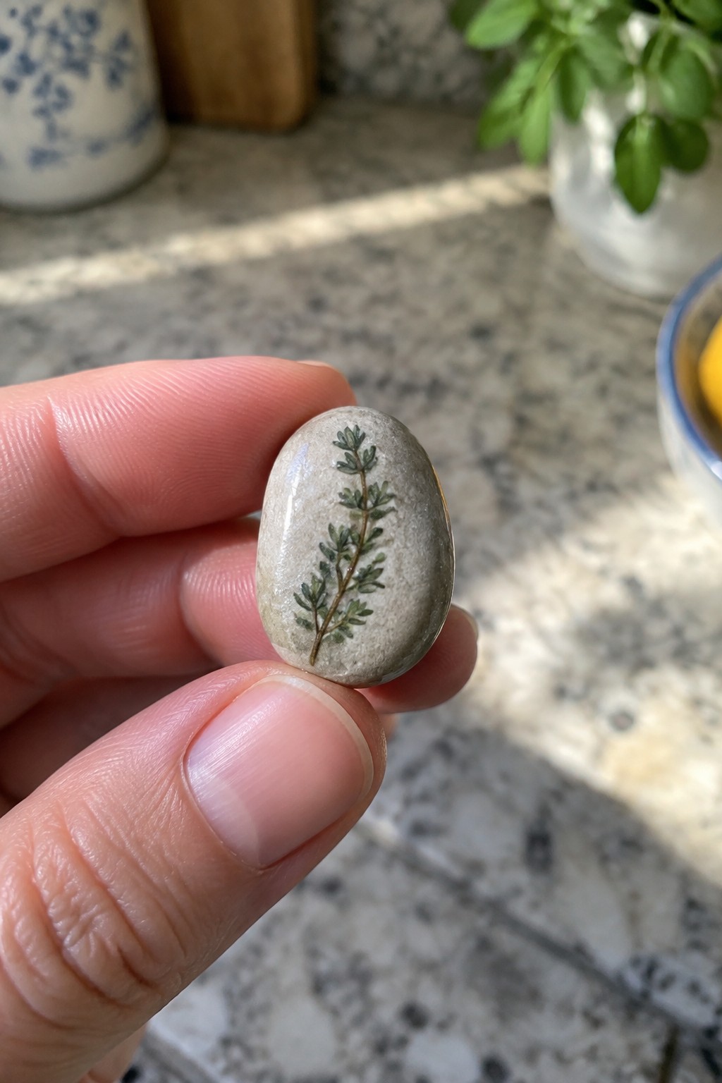 Hand holding smooth oval stone with pressed green herb sprig on kitchen counter