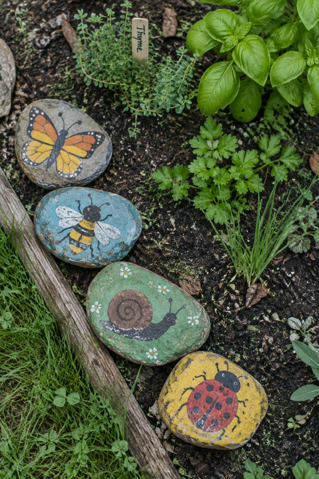 Four painted garden rocks showing a butterfly, bee, snail, and ladybug rest on soil among herbs and plants.