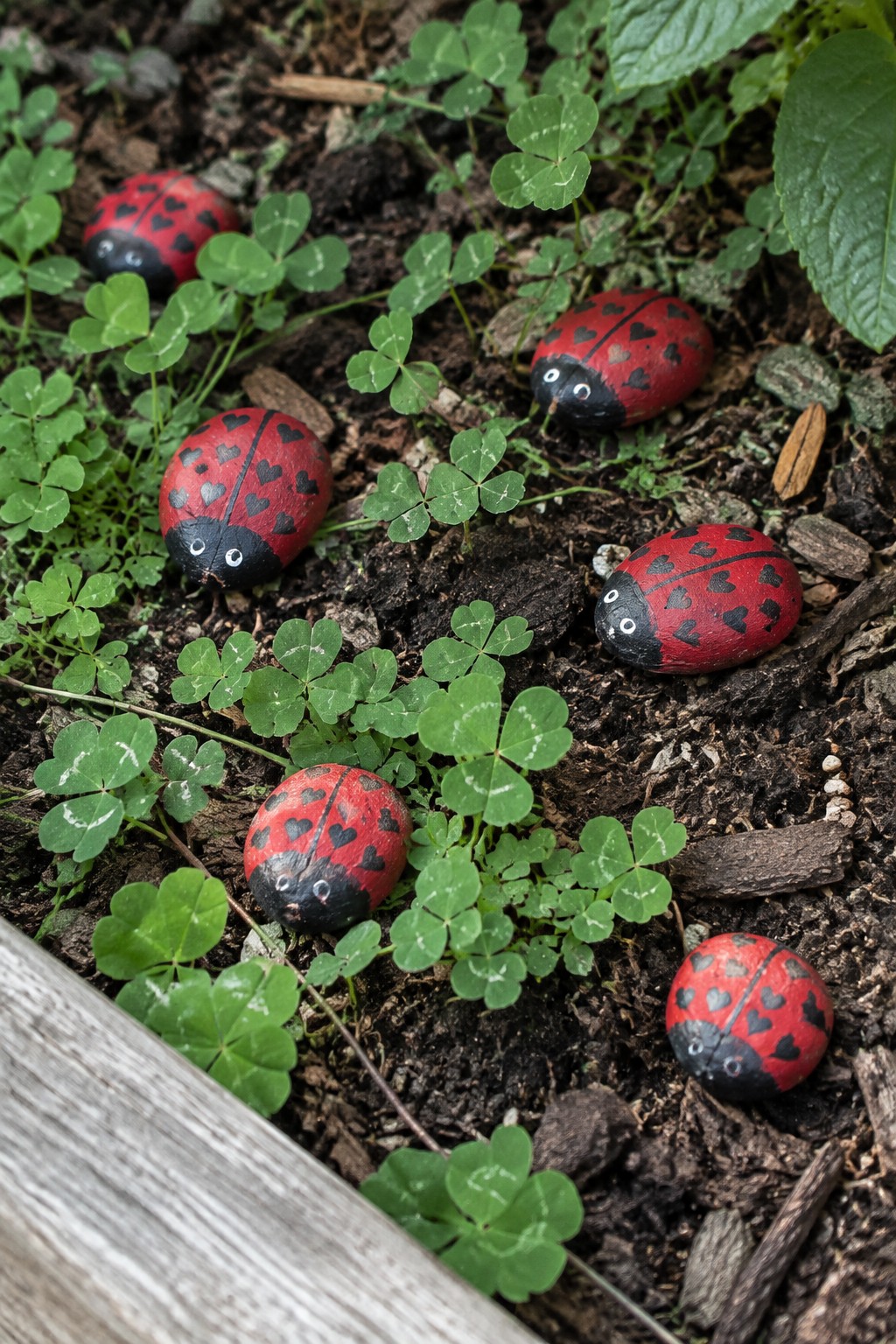 Several smooth stones painted as red ladybugs with black heart spots, black heads, and white eyes rest among clover and soil in a garden bed.