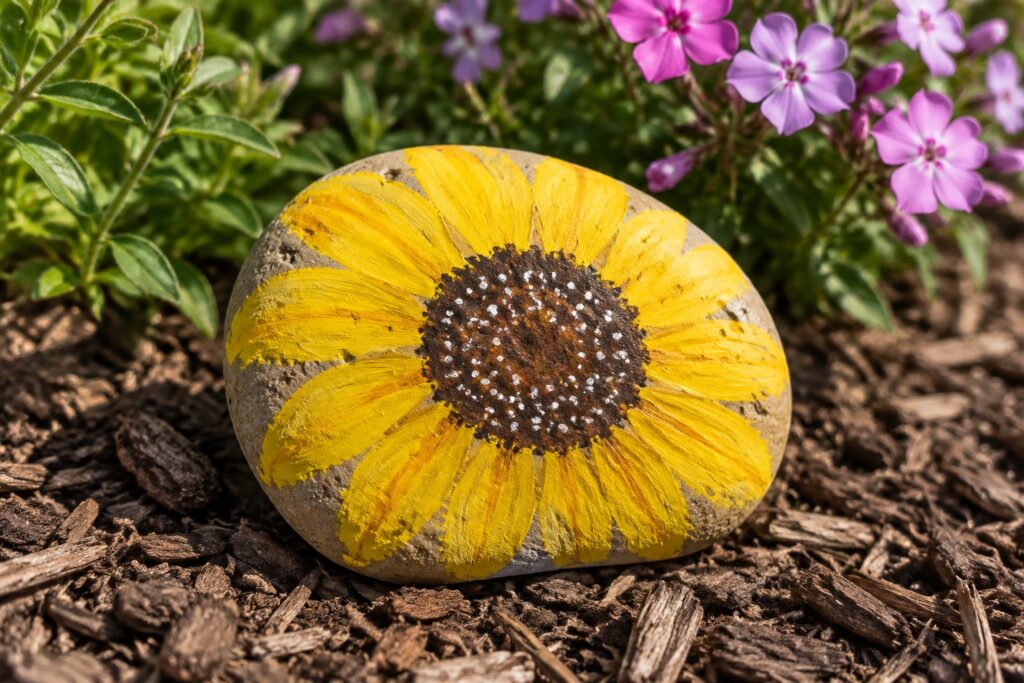 Painted sunflower rock with yellow petals and dotted brown center rests on garden mulch.