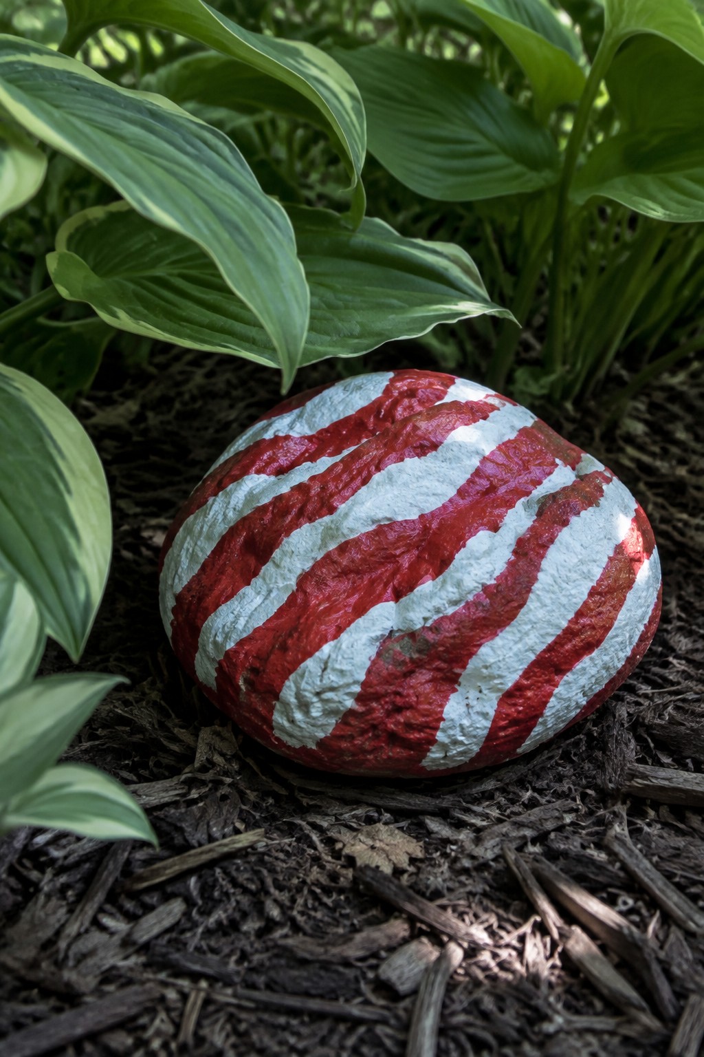Red and white striped painted rock on dark mulch amid green leaves