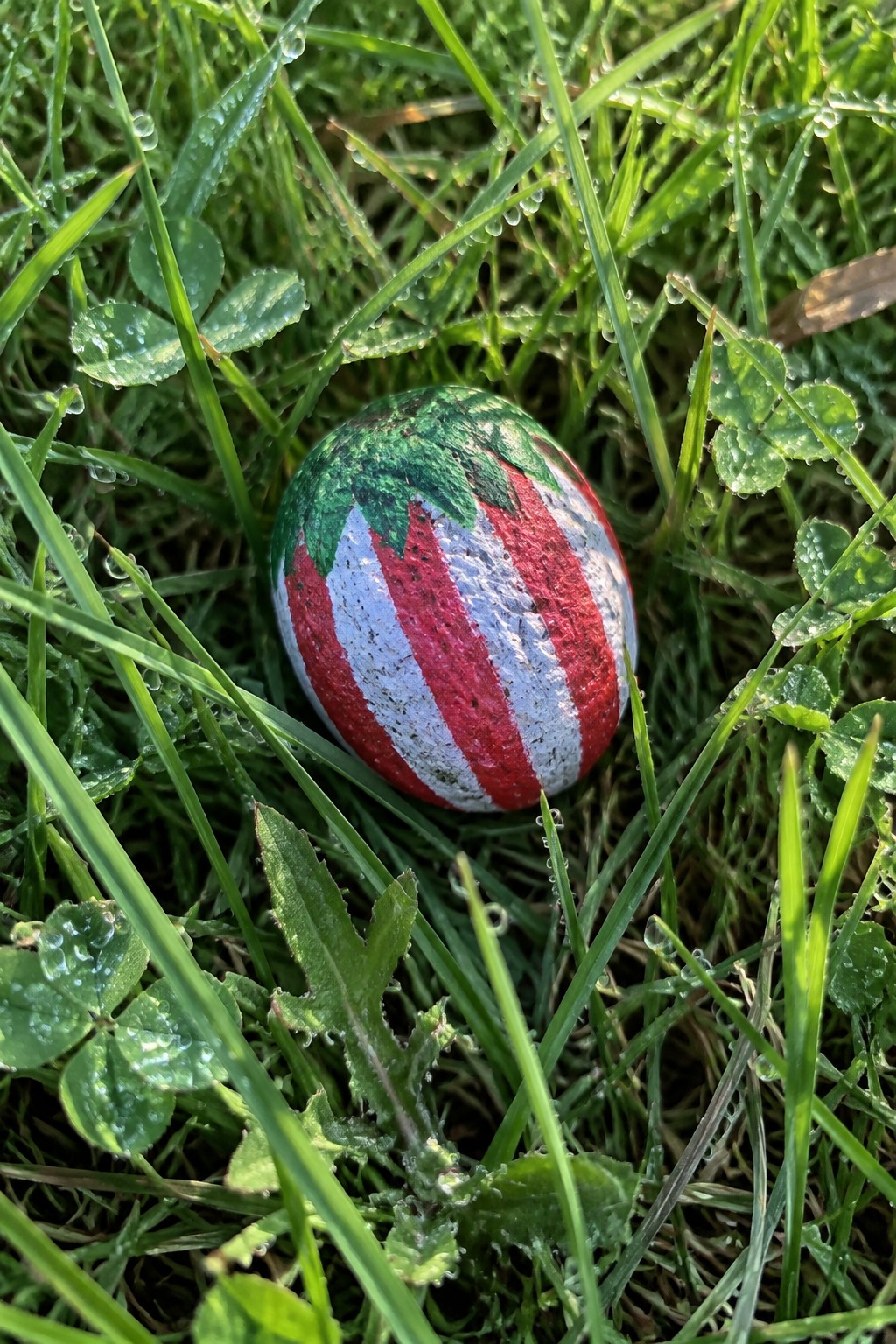 Strawberry-painted rock with red-white stripes and green top in dewy grass