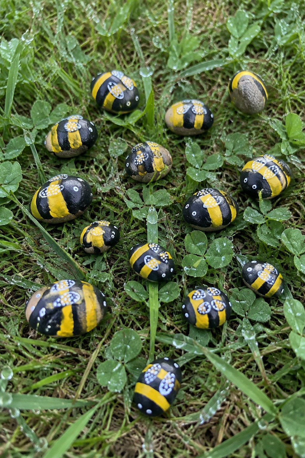 Painted rocks as bumblebees with yellow-black stripes on dewy grass and clover