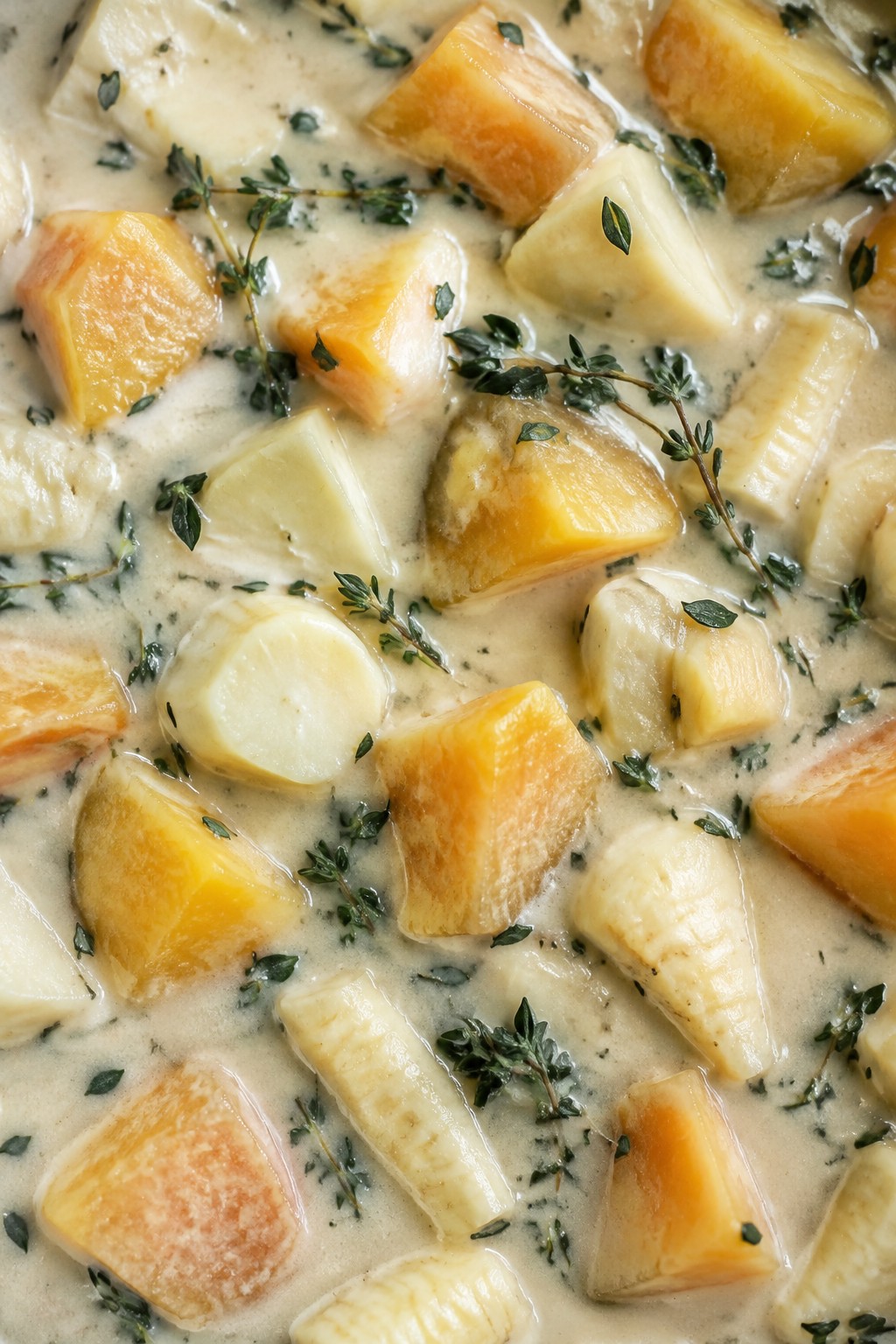 Creamy Coconut Parsnip and Rutabaga Stew with Thyme