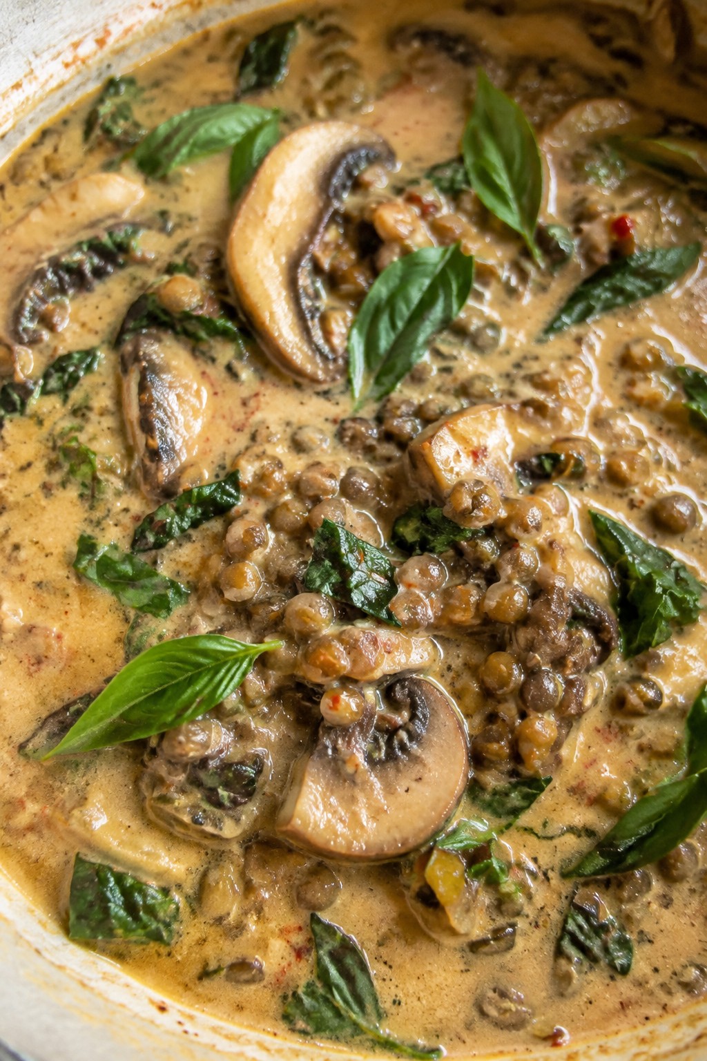 Thai Basil Coconut Lentil Mushroom Stew
