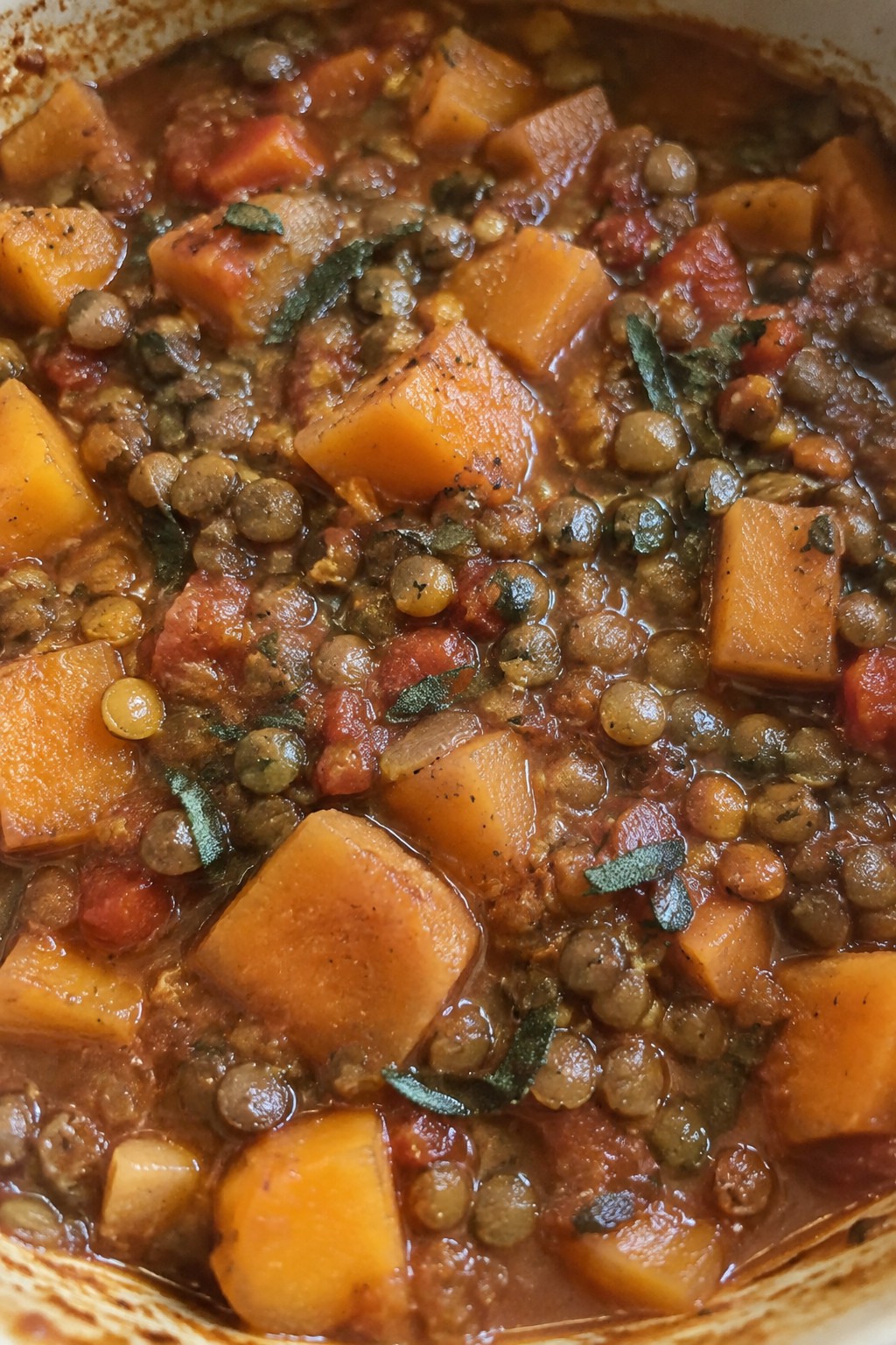 Butternut Squash and Lentil Stew with Cumin and Sage