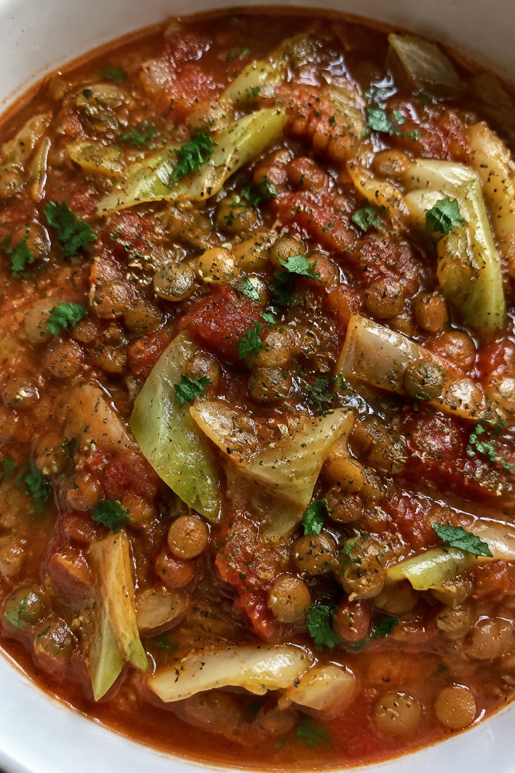 Italian Tomato and Herb Lentil Stew with Cabbage